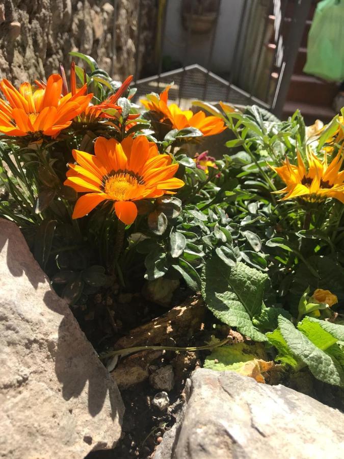 Bed & Breakfast Centro Storico Anagni